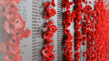 Red poppies placed along a memorial wall engraved with names, symbolizing remembrance.