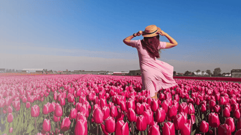 A woman wearing a pink dress and a straw hat stands in a vast field of bright pink tulips under a clear blue sky, with farm buildings visible in the distance.